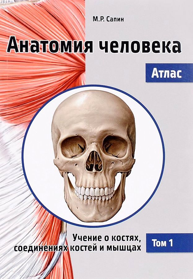 Сапин анатомия человека. Сапин атлас анатомии человека том 3. Атлас Сапина анатомия 1 том. М.Р.Сапин атлас анатомия человека том 1. Атлас по анатомии в 3 томах кости.