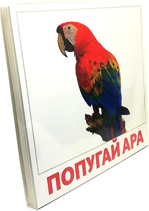 Картинки домана птицы