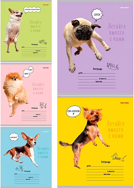 ����������: ������� ����� ����� 12 ������ "������ � ������", 5 �������� � ������������