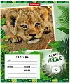 ������� �������� ����������� "Baby Jungle", 12 ������, �������, ������ � ������������
