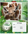 ������� �������� ����������� "Baby Jungle", 12 ������, �������, ������ � ������������