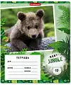 ������� �������� ����������� "Baby Jungle", 12 ������, �������, ������ � ������������