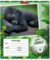 ������� �������� ����������� "Baby Jungle", 12 ������, �������, ������ � ������������